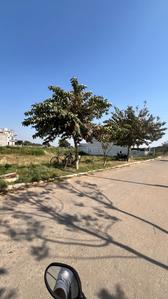 Image of 238 Sq.ft Residential Plot / Land for sale in Altus Muirwoods Ecocity Extension 1, New Chandigarh, Chandigarh for Rs. 20000000