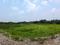 Diamond Park Plot View 2