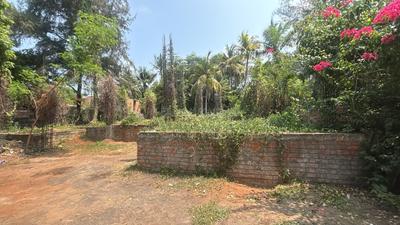 Residential Plot