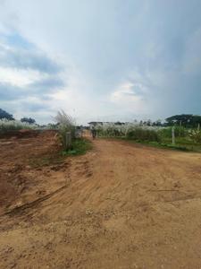 Image of 2614 Sq.ft Residential Plot / Land for sale in Pipili, Puri for Rs. 3400000