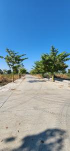 Image of 1000 Sq.ft Residential Plot / Land for sale in Skye City, Mayakhedi, Indore for Rs. 4200000