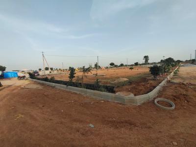 Shadnagar Plot View 2