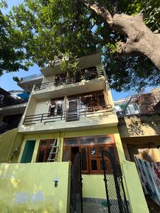 Image of S.S PG  in Alpha II Greater Noida, Greater Noida