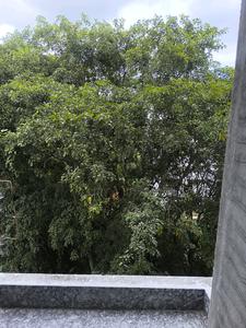Bedroom Three Image of 3150 Sq.ft 5 BHK Apartment / Flat for sale in Talaghattapura Bengaluru for Rs. 29000090