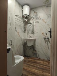 Bathroom Image of 355 Sq.ft 1 RK Apartment / Flat for rent in Sector 44 Noida for Rs. 17000