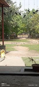 Image of 1399 Sq.ft 4 BHK Duplex for sale in Sector 41, Noida for Rs. 44000000