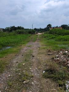 Nest Valley Internal Roads 2