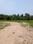 Natures Paradise Internal Roads 1