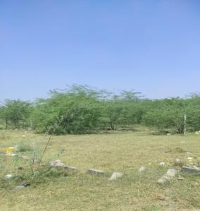 Image of 720 Sq.ft Residential Plot / Land for sale in Minjur, Chennai for Rs. 2160000