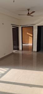 Hall Image of 1100 Sq.ft 2 BHK Apartment / Flat for rent in Amrapali Eden Park, Sector 50 Noida for Rs. 32000