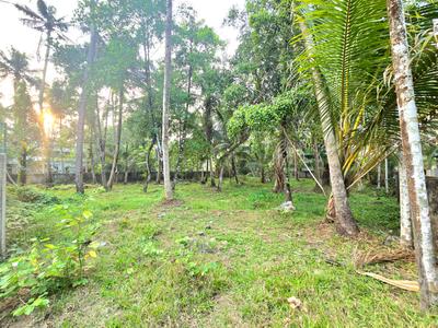 Image of 9570 Sq.ft Residential Plot / Land for sale in North Parvur, Kochi for Rs. 8800000