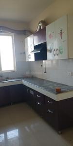 Kitchen Image of 650 Sq.ft 2 BHK Apartment / Flat for rent in Pyramid Urban Homes 2, Sector 86 Gurgaon for Rs. 16000