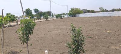 Image of 5000 Sq.ft 3 BHK Farm House for sale in Phanda Kala, Bhopal for Rs. 3500000
