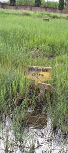 Image of 1500 Sq.ft Residential Plot / Land for sale in Smart Homes, Bidhannagar, Durgapur for Rs. 1350000