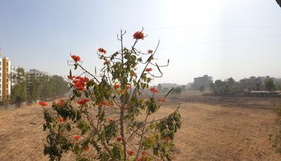 Balcony Image of 650 Sq.ft 1 BHK Apartment / Flat for sale in JD Green Paradise, Lohegaon Pune for Rs. 4375000