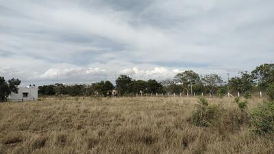 Image of 21780 Sq.ft Residential Plot / Land for sale in Kalapatti, Coimbatore for Rs. 120000000