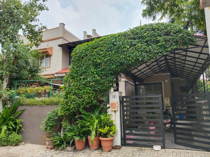 Satellite Main Image 1