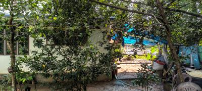 Balcony Image of 1000 Sq.ft 3 BHK Independent House for sale in Koonammavu Kochi for Rs. 600000