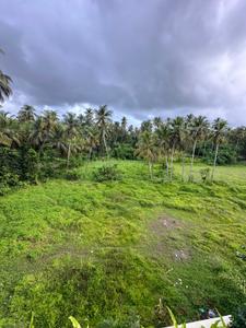 Image of 3200 Sq.ft 4 BHK Villa for sale in Morjim, Goa for Rs. 82500000