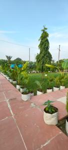 Image of 1000 Sq.ft Residential Plot / Land for sale in Kalli Poorab, Lucknow for Rs. 2000000