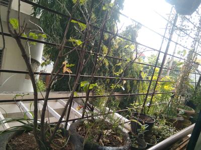 Balcony Image of 1500 Sq.ft 3 BHK Apartment / Flat for sale in Jule Solapur for Rs. 9000000
