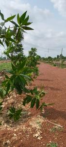 Image of 2500 Sq.ft Residential Plot / Land for sale in Amleshwar, Raipur for Rs. 1802500