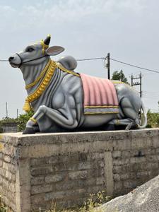 Image of 1200 Sq.ft Residential Plot / Land for sale in Chintamani Ganesh Vatika, Chhachhanpairi, Raipur for Rs. 2100000