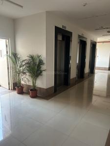 Hall Image of 850 Sq.ft 1 BHK Apartment / Flat for rent in Godrej Infinity, Mundhwa Pune for Rs. 28000