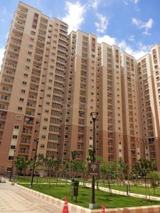 3 BHK Flat