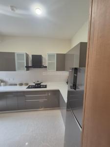 Kitchen Image of 1700 Sq.ft 3 BHK Apartment / Flat for sale in Ashiana Mulberry, Sector 2 Sohna for Rs. 20000000