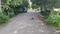 Vision Properties Main Image 1
