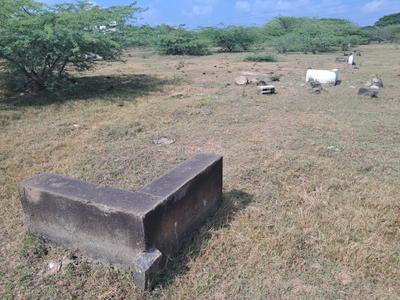 Image of 1800 Sq.ft Residential Plot / Land for sale in Chettipunyam, Chennai for Rs. 4250000