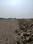 Sashte Main Image 1