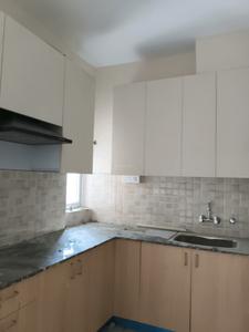 Kitchen Image of 750 Sq.ft 2 BHK Apartment / Flat for rent in Amrapali Dream Valley 2, Noida Extension Greater Noida for Rs. 16000