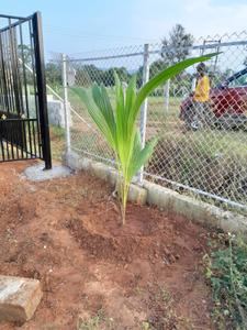 Image of 6000 Sq.ft Residential Plot / Land for sale in Kanakapura, Bengaluru for Rs. 5760000
