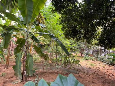 Image of 3879 Sq.ft Residential Plot / Land for sale in Thirumullaivoyal, Chennai for Rs. 32946000