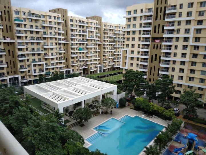 Karia Konark Orchid Main Image 1