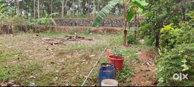 Image of 2831 Sq.ft Residential Plot / Land for sale in Thiruvaniyoor, Kochi for Rs. 1690000