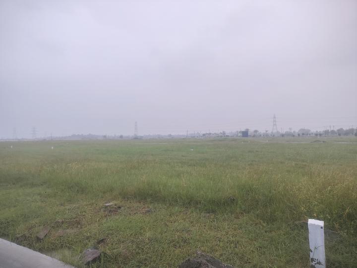 Ruby celestia Main Image 1