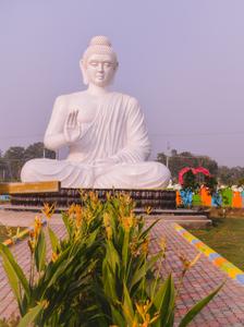 Image of 200 Sq.ft Residential Plot / Land for sale in Konada, Vizianagaram for Rs. 4600000