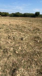 Image of 1250 Sq.ft Residential Plot / Land for sale in Dharti Paradise Phase II, Basni Baghela, Jodhpur for Rs. 3600000