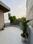 Balcony Image of Own house in Sushant Lok Phase 1, Gurgaon
