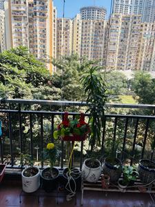 Balcony Image of 2050 Sq.ft 3 BHK Apartment / Flat for sale in Panchsheel Pratishtha, Sector 75 Noida for Rs. 32500000