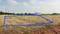 Annur Main Image 1