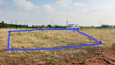Annur Plot View 1