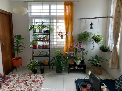Hall Image of 1570 Sq.ft 3 BHK Apartment / Flat for sale in Cybercity Stone Ridge, Borabanda Hyderabad for Rs. 14000000