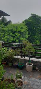 Balcony Image of 1800 Sq.ft 3 BHK Builder Floor for rent in Sector 23 Noida for Rs. 40000