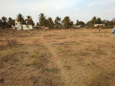Residential Plot