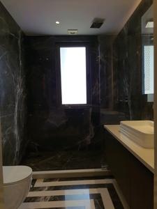 Common Bathroom Image of 2600 Sq.ft 4 BHK Builder Floor for sale in Sarhol Gurgaon for Rs. 48500000