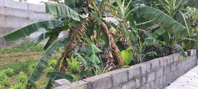 Image of 2320 Sq.ft Residential Plot / Land for sale in Sunkalpalya, Bengaluru for Rs. 22272000
